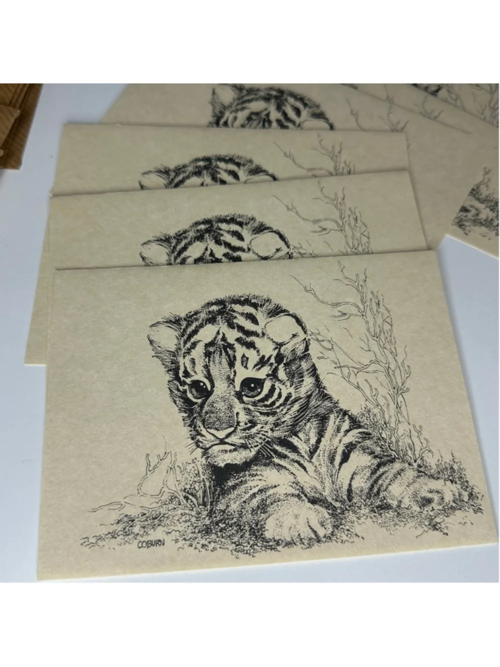 Vintage Safari Blank Note Cards Set of 10 by Small World Greetings Stationery